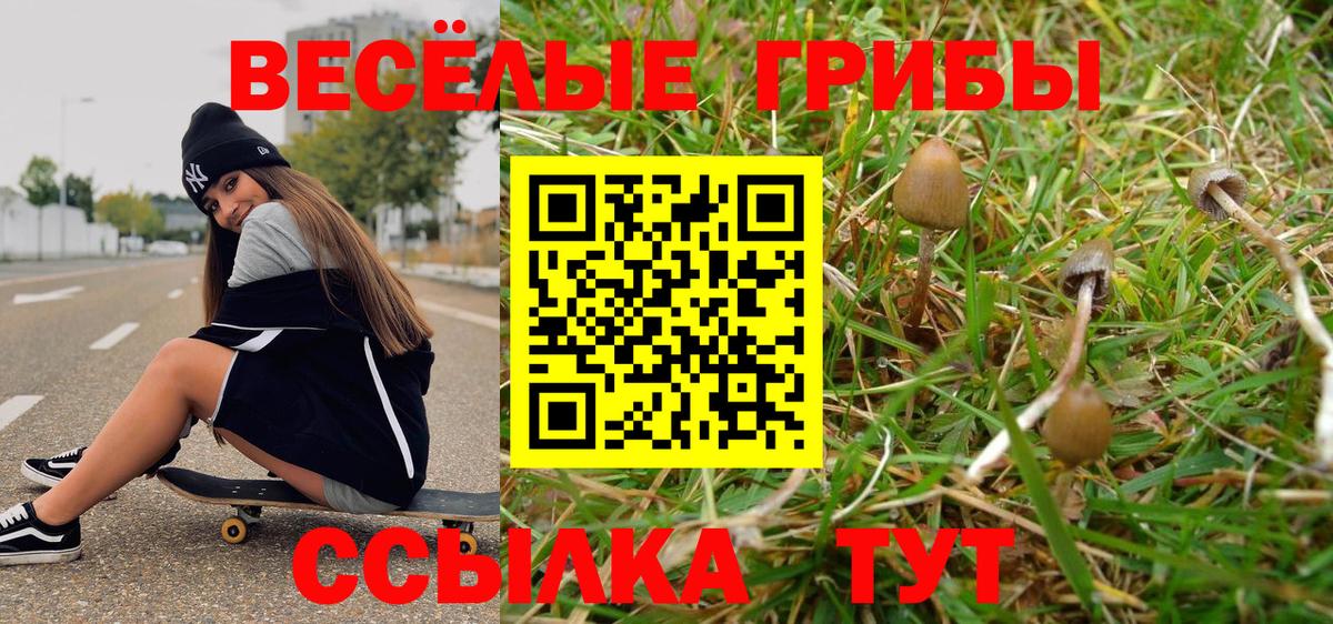 Галлюциногенные грибы Psilocybe  Псилоцибиновые грибы Psilocybe  Вход с VPN  Удомля 