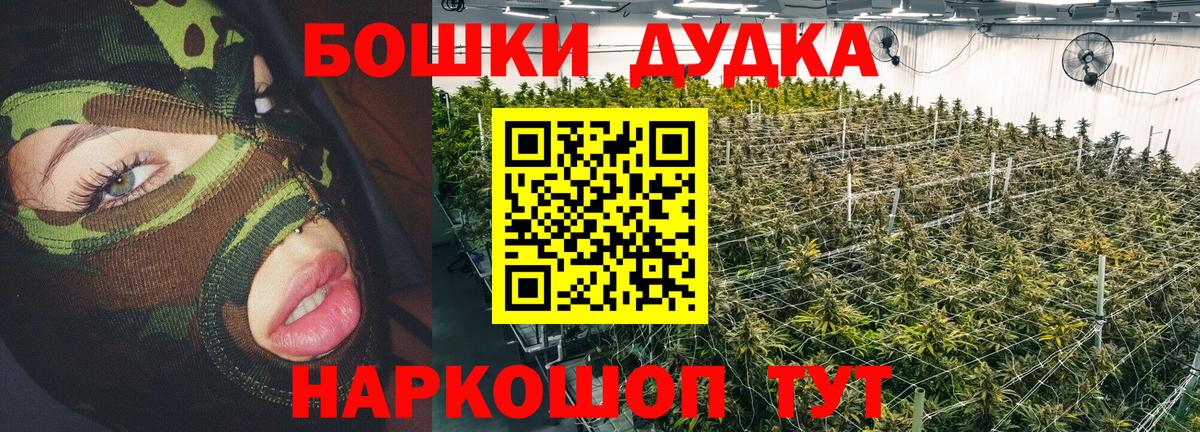 Удомля  Конопля OG Kush  Вход с VPN  Марихуана планчик 